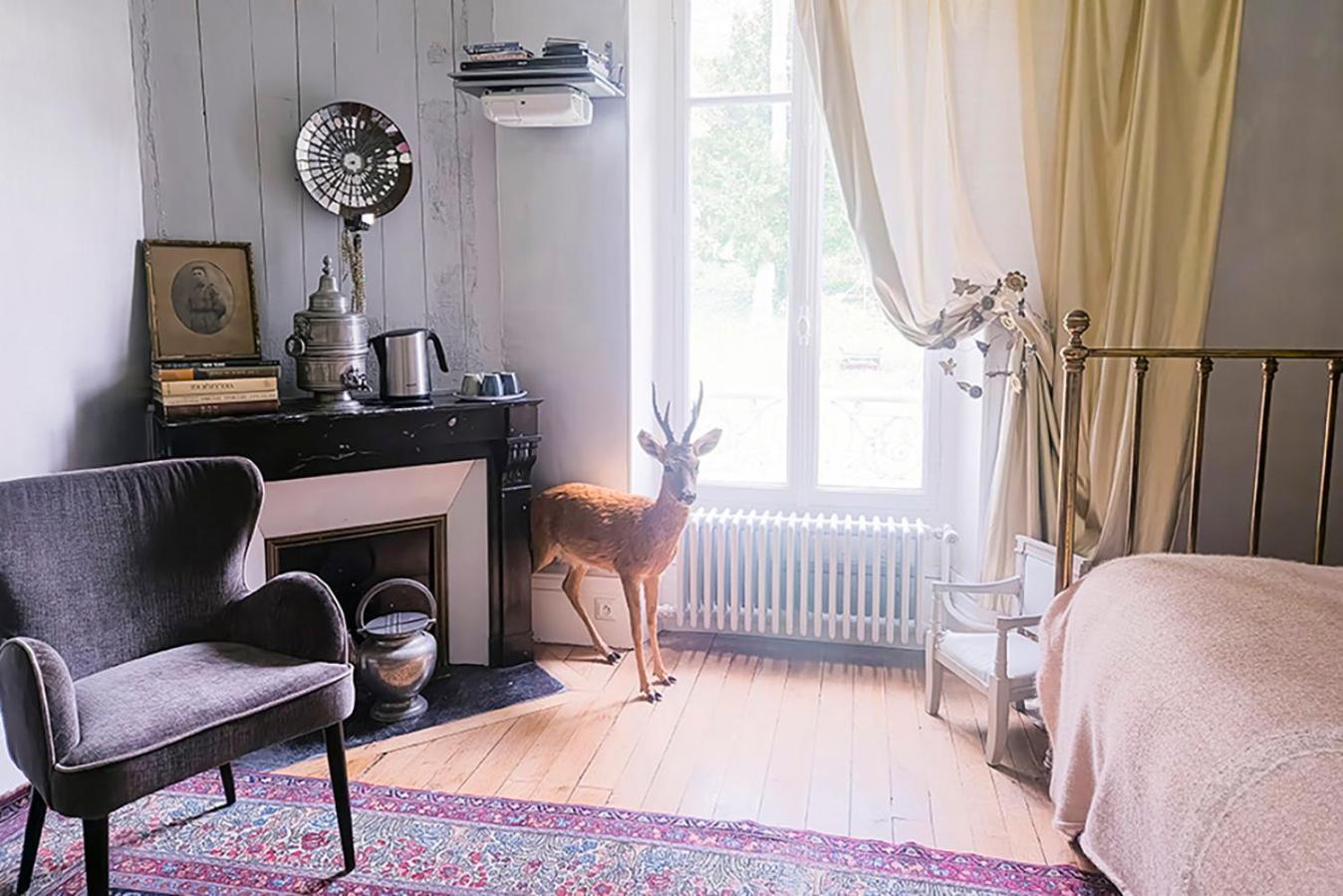 Maison D'Hotes Stella Cadente Προβέν Εξωτερικό φωτογραφία